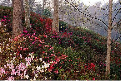 在《Terror At Oakheart》（橡心镇惊魂记）中与恐怖的 80 年代杀手搏斗求生